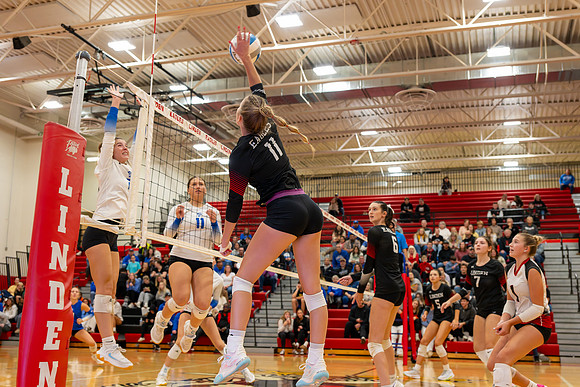 VB_LF_Linden_102325_G (170 of 259)