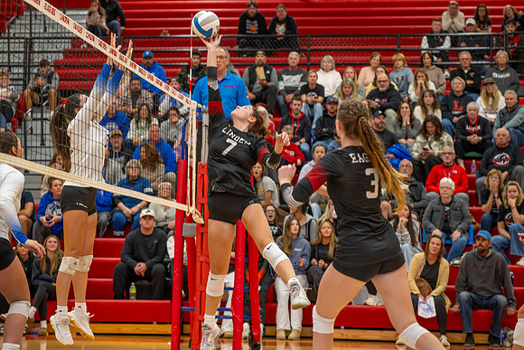 VB_LF_Linden_102325_G (181 of 259)