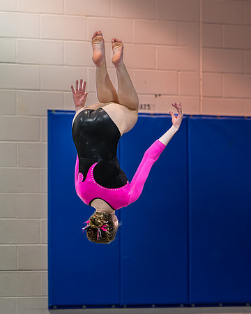 Gym-LFLF-012226-188