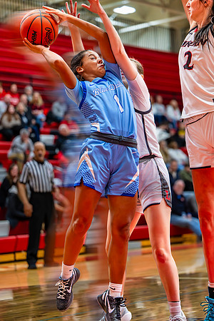GBB-LF-Linden-030526 (37 of 186)