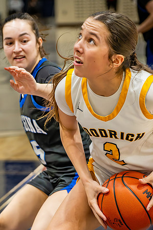 GBB-Warren-Goodrich-031126 (5 of 724)