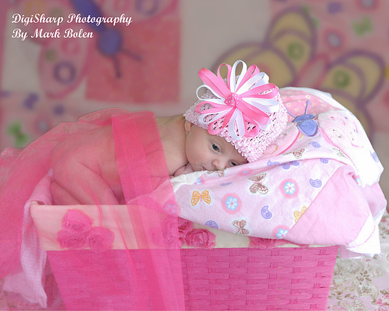Newborn Portrait Photography
