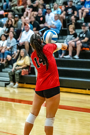 VB_Linden_Fenton_91526 (110 of 174)