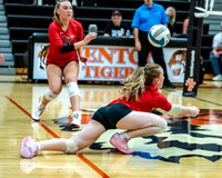 VB_Linden_Fenton_91526 (4 of 174)