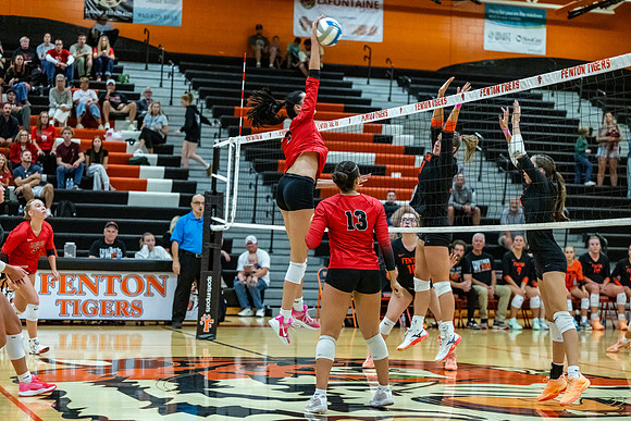 VB_Linden_Fenton_91526 (13 of 174)