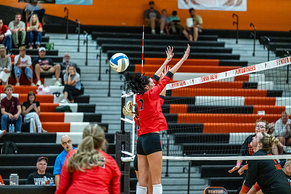 VB_Linden_Fenton_91526 (14 of 174)