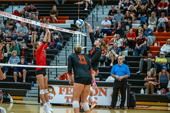 VB_Linden_Fenton_91526 (62 of 174)