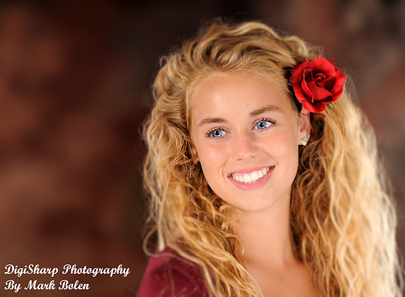 Fenton and Linden MI Senior and Wedding Photographer DigiSharp Photography